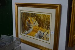 Stephen Gayford Limited Edition Print 