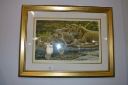Framed Print Stephen Crayford 