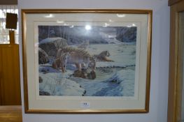 Stephen Gayford Limited Edition Print 