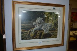 Stephen Gayford Limited Edition Print 