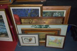 Collection of Framed Prints