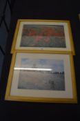 Pair of Framed Prints 