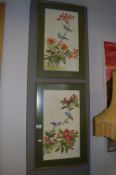 Pair of FRamed Watercolour 