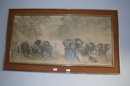 Large Framed David Shepherd Print 