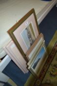 Collection of Framed Prints