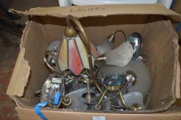 Box of Ceiling Lights and Shades