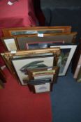Collection of Small Framed Prints