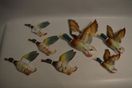 Collection of Pottery Wall Mounted Flying Ducks