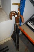 Collection Umbrella and Walking Sticks