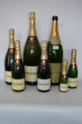 Collection of Champagne Bottle