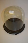 Glass Dome and Base