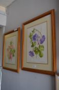 Pair of Floral Watercolours By Yvonne Caspani