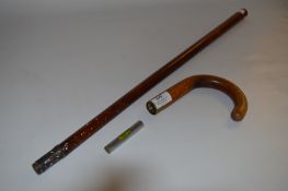 Walking Cane with Spirit Level