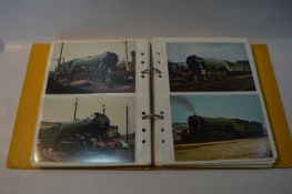 Postcard and Photo Album 