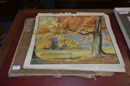 Collection of Coloured Prints 