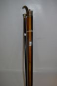 Five Walking Stick one with Horn Handle