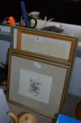 Selection of Framed Prints 