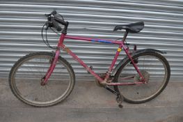 Apex by Raleigh Mountain Bike (Purple)