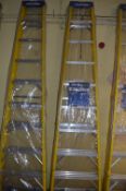 *Set of Werner Nine Tread Aluminium and Fibreglass Steps 3.7m