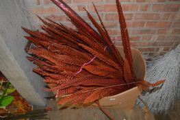 *Box Containing Red Glitter Dried Foliage