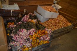 *Two Pallets of Dried Flowers