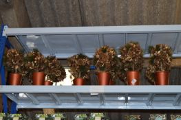 *Seventeen Floral Displays