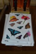 Decorative Transfers; Butterflies and Dogs