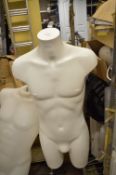 *Male Torso Mannequin on Stand
