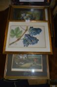 Selection of Framed Prints, Hunting and Still LIfe