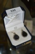 Pair of Silver Mounted Drop Earrings with Black Glass Inserts