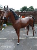 Chestnut Horse 14.2 (Fibreglass)