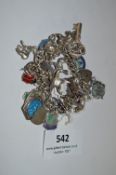Silver Charm Bracelet with Charms