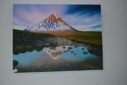 Unframed Printed Canvas 