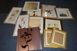 Set of Eleven Framed Prints