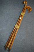 Collection of Five Walking Canes