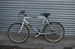 Raleigh Discovery Mountain Bike (Silver & White)