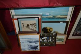 Selection of Framed Prints; Elephants,Coastal Scenes, etc.