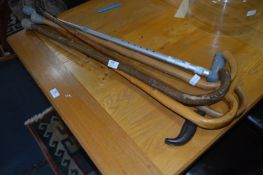 Selection of Five Walking Canes