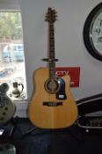 Washburn D10SCE Electro Acoustic Guitar with Guitar Stand