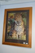 Large Pine Framed Photo Print 