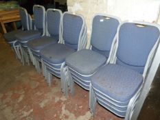 Twenty Five Banqueting Style Chairs With Blue Upholstered Seats and Backs