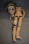 A&M German Pot Headed Doll with Composite Body (AF)