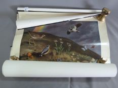 Collection of Shell Motor Spirit Countryside Posters