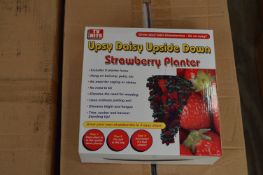 *Box Containing 24 Upsy Daisy Upside Down Strawberry Planters