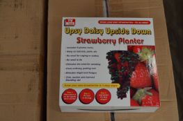 *Box Containing 24 Upsy Daisy Upside Down Strawberry Planters