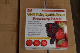 *Box Containing 24 Upsy Daisy Upside Down Strawberry Planters