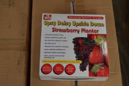 *Box Containing 24 Upsy Daisy Upside Down Strawberry Planters