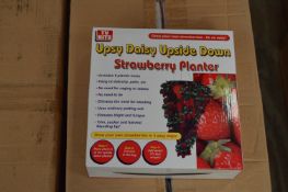 *Box Containing 24 Upsy Daisy Upside Down Strawberry Planters