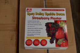 *Box Containing 24 Upsy Daisy Upside Down Strawberry Planters