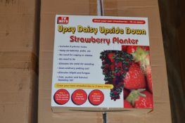 *Box Containing 24 Upsy Daisy Upside Down Strawberry Planters